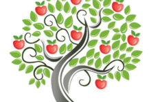 Канал - Яблоня | Сорта яблонь | Сад | Сорта яблок
